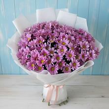 Букет сиреневая охапка в Ишиме Букет цветов из:  Хризантемы в Ишиме