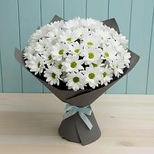 Букет цветов из:  Хризантемы в Ишиме